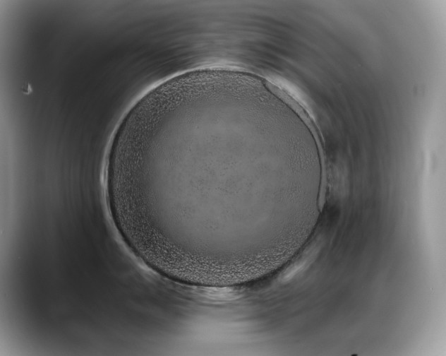 X0000088921007200706081356