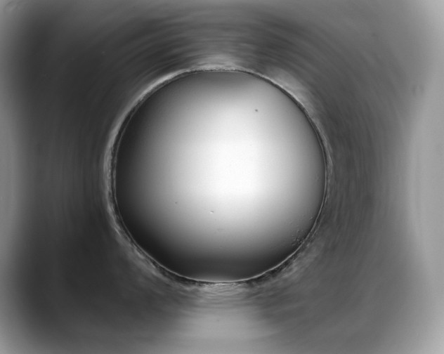 X0000088921008200706081356