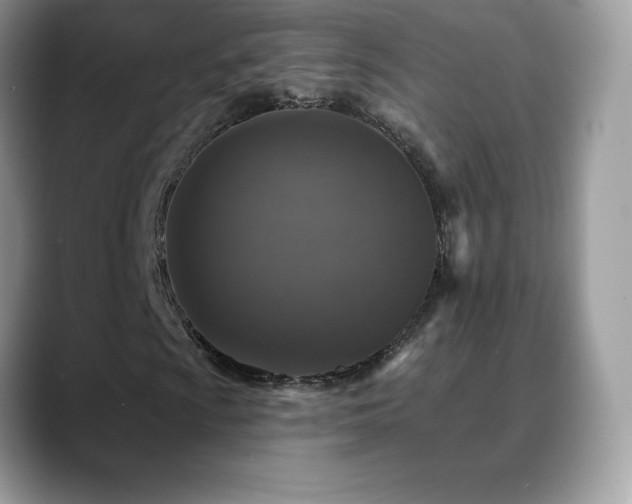 X0000088921009200706081355
