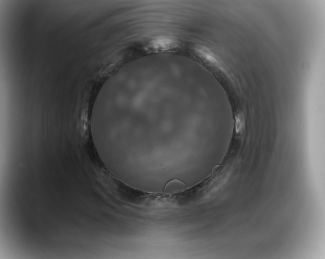 X0000088921011200706081355