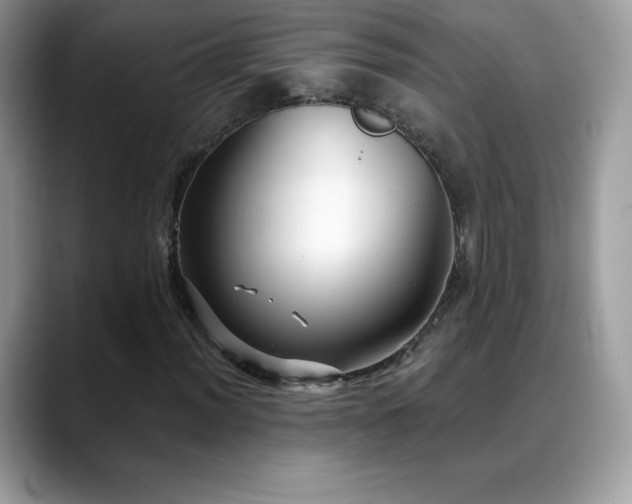 X0000088921012200706081355