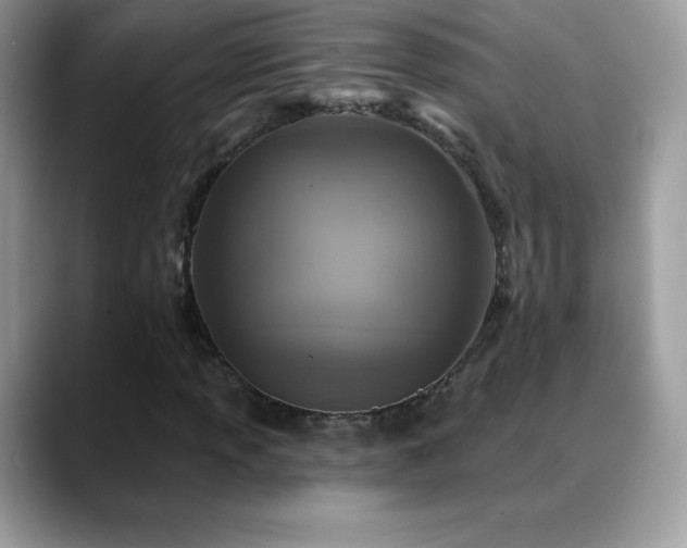X0000088921013200706081355