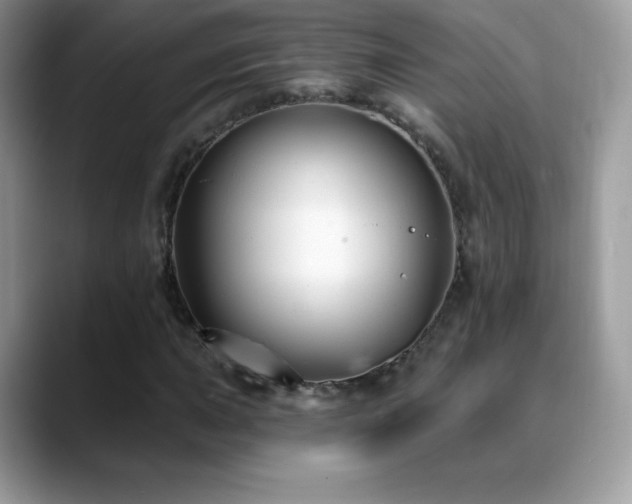 X0000088921015200706081355