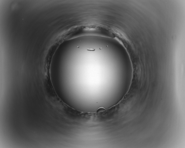 X0000088921016200706081355