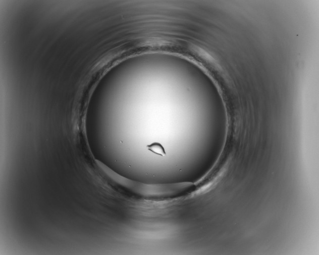 X0000088921017200706081355