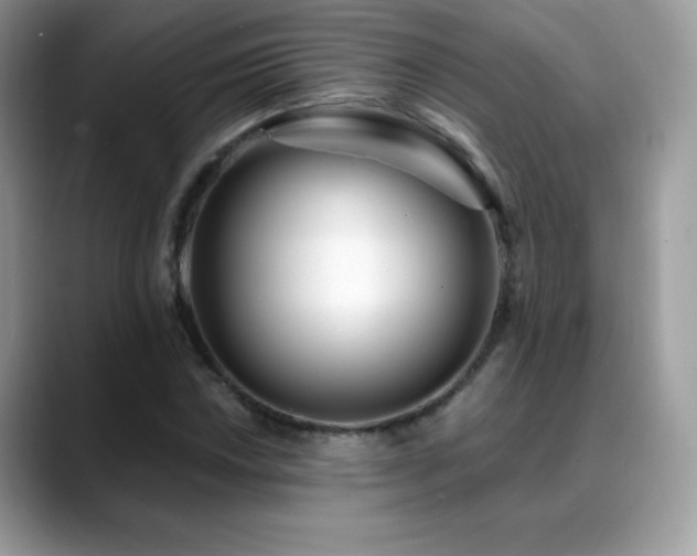 X0000088921018200706081355