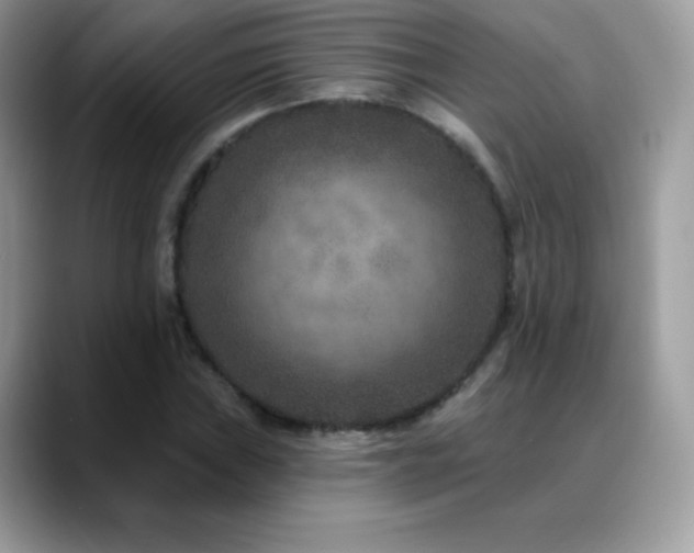 X0000088921019200706081355