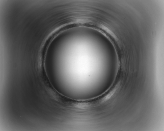 X0000088921021200706081355