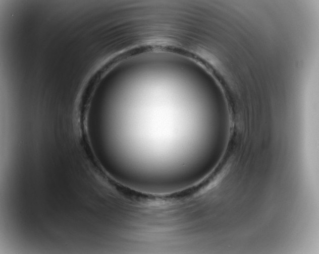 X0000088921022200706081355