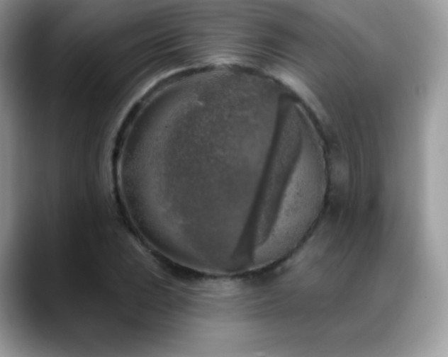 X0000088921023200706081355