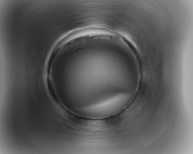 X0000088921024200706081355