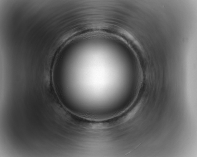X0000088921025200706081355