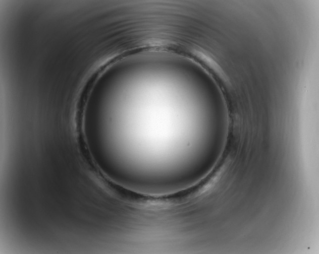 X0000088921026200706081355