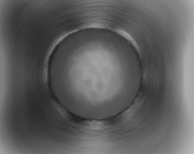 X0000088921027200706081355