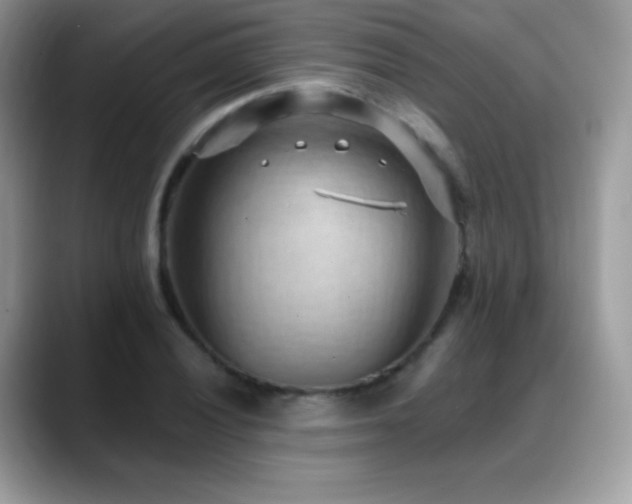 X0000088921028200706081355
