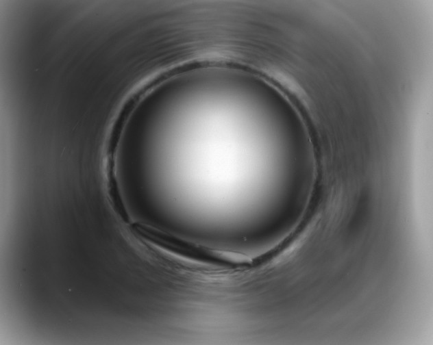 X0000088921029200706081355