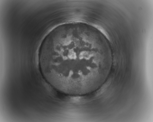 X0000088921031200706081355