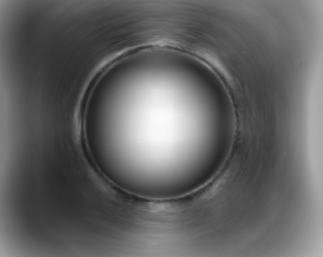 X0000088921032200706081355