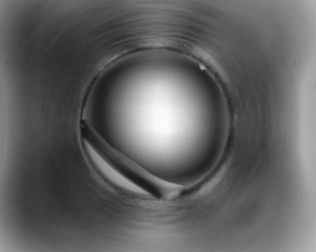 X0000088921033200706081355