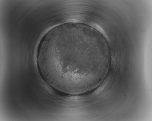 X0000088921035200706081356