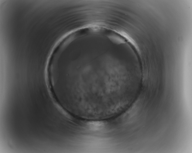 X0000088921037200706081356