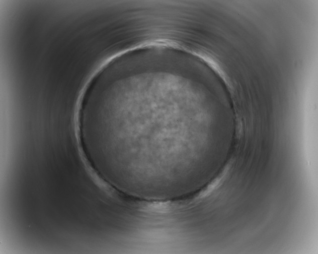X0000088921038200706081356