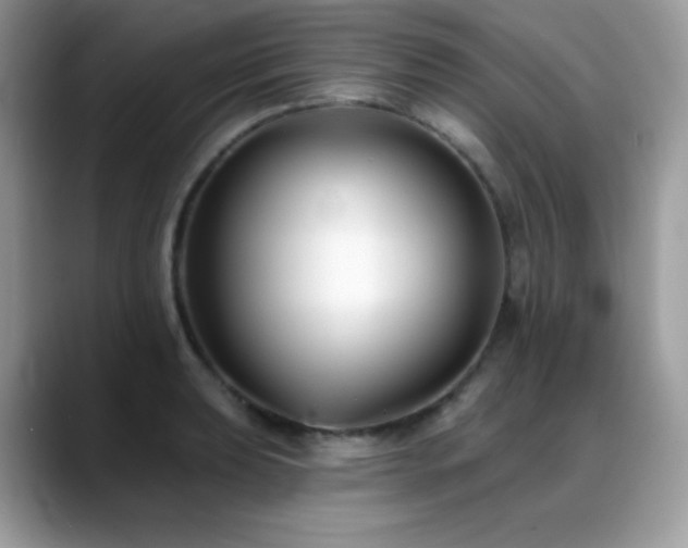 X0000088921039200706081356