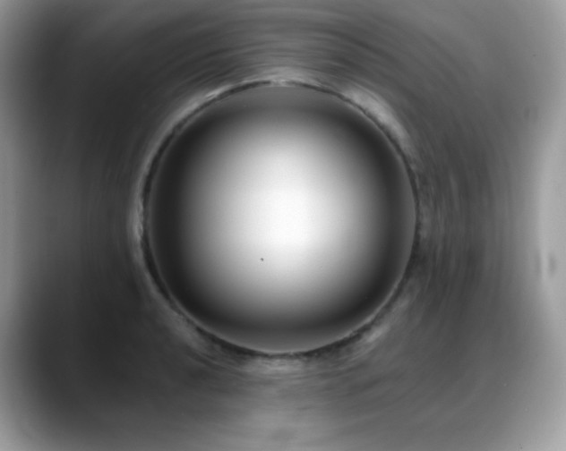 X0000088921040200706081356