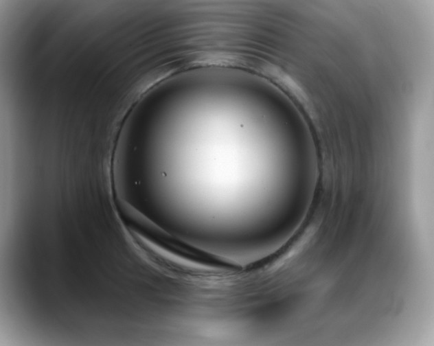 X0000088921041200706081356