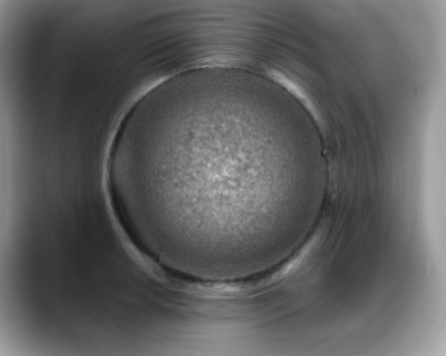 X0000088921042200706081356
