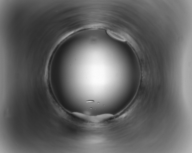 X0000088921044200706081356