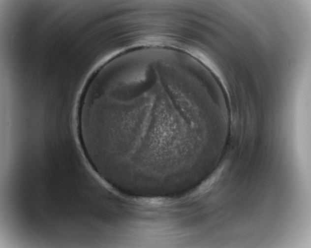 X0000088921045200706081356