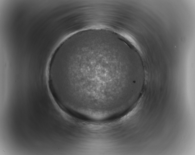 X0000088921046200706081356