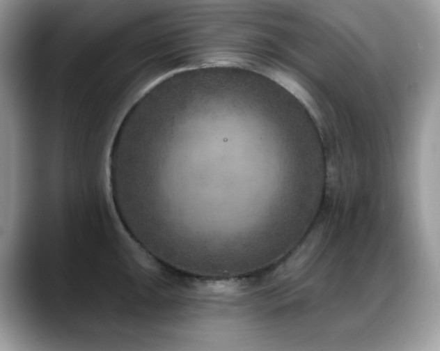 X0000088921047200706081356