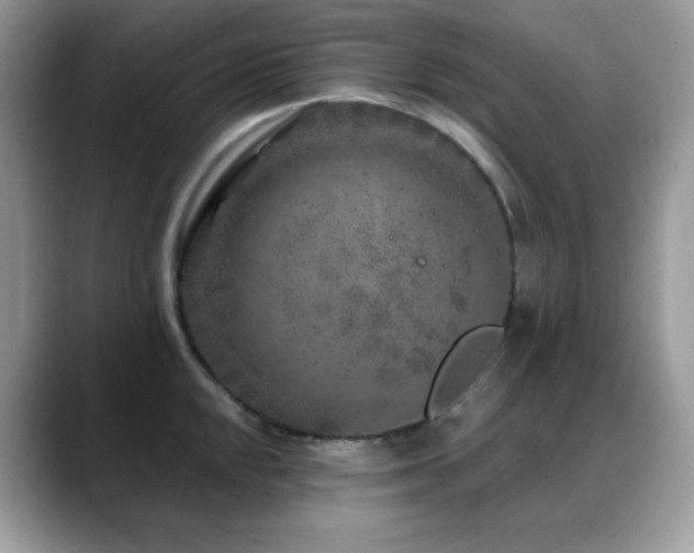 X0000088921048200706081356