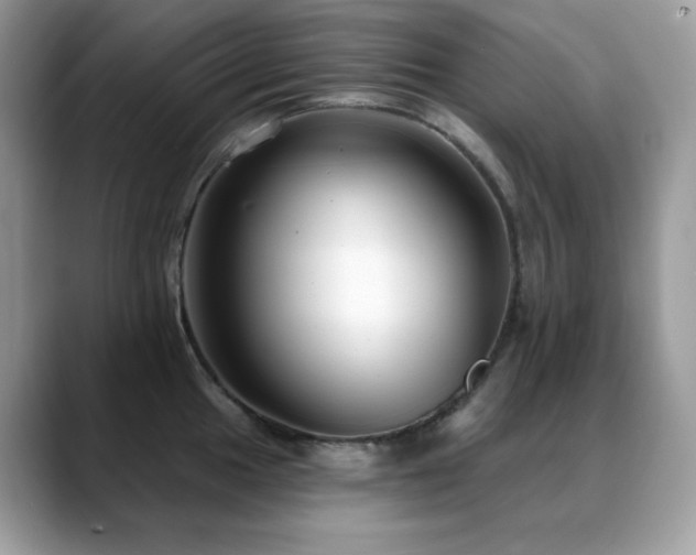 X0000088921049200706081356