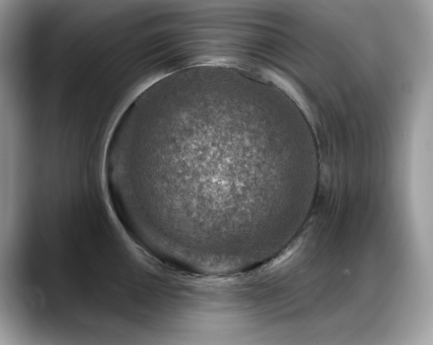 X0000088921050200706081356