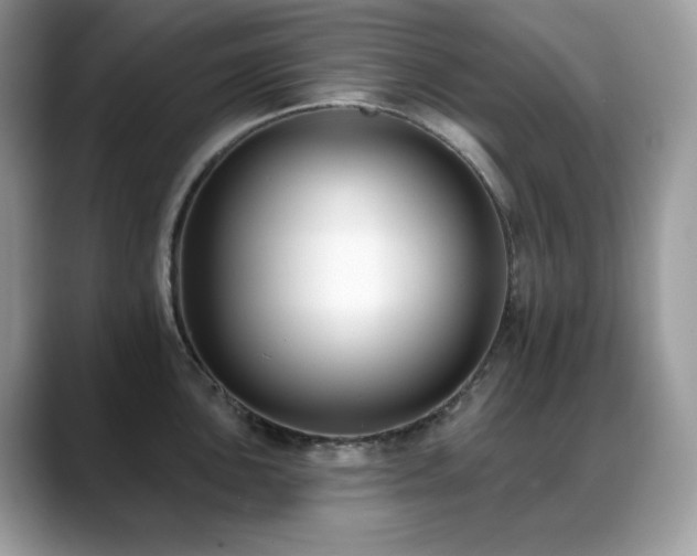 X0000088921051200706081356