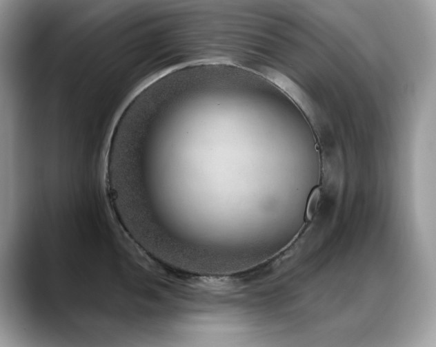 X0000088921052200706081356