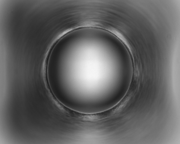 X0000088921053200706081356