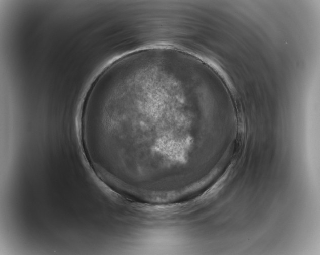 X0000088921054200706081356
