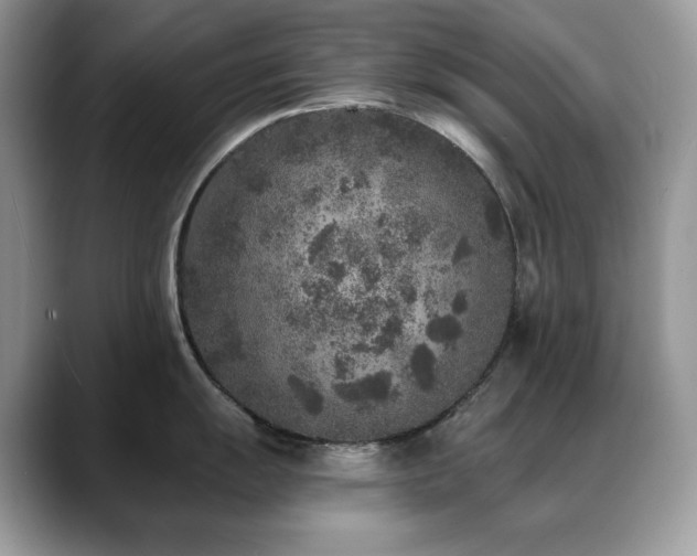 X0000088921055200706081356