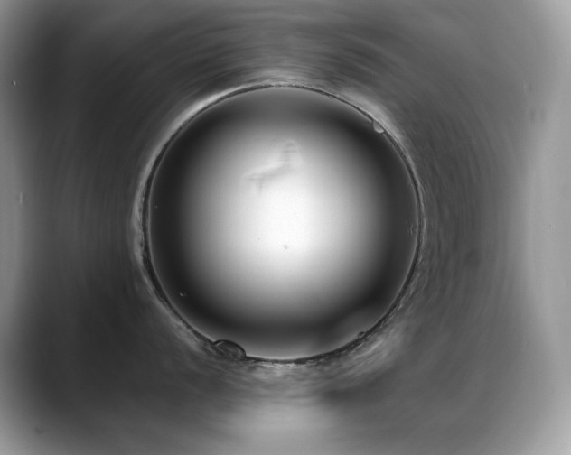 X0000088921056200706081356
