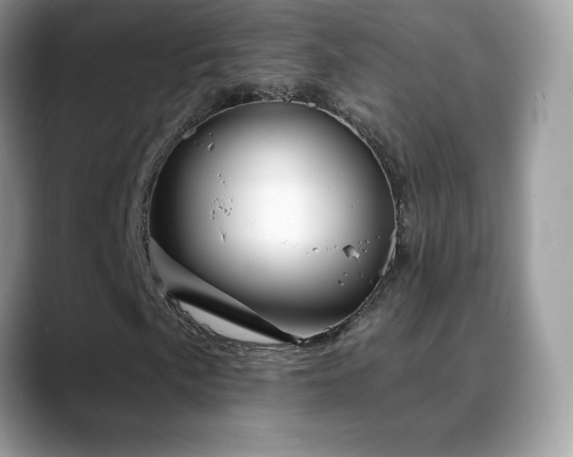 X0000088921057200706081355