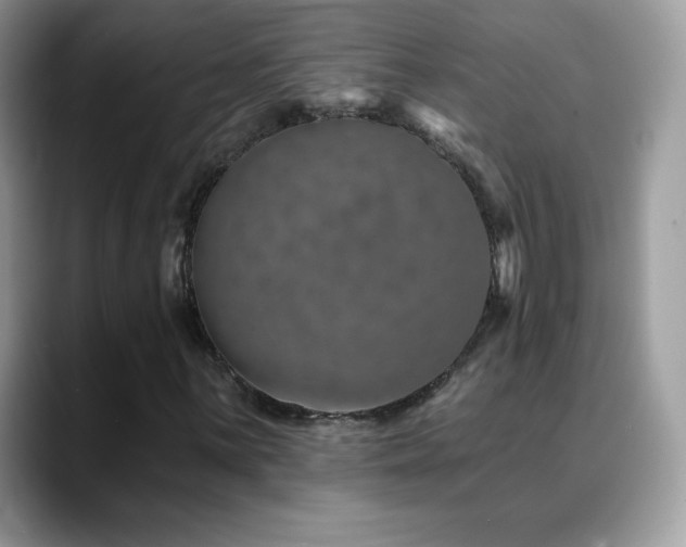 X0000088921059200706081355