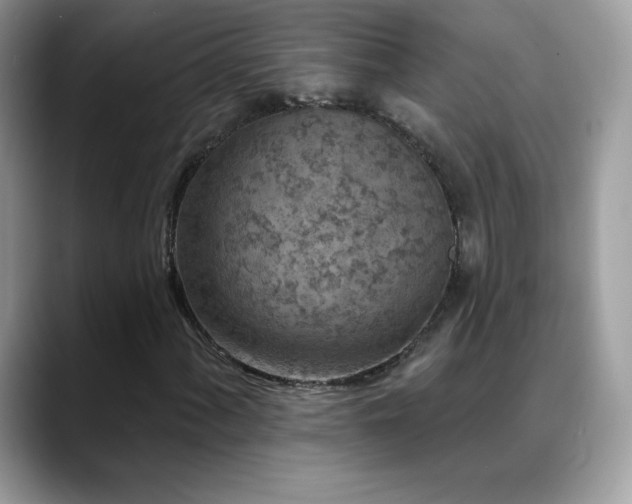 X0000088921060200706081355