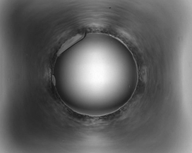 X0000088921061200706081355