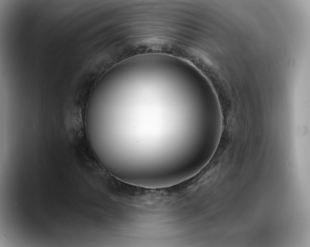 X0000088921062200706081355