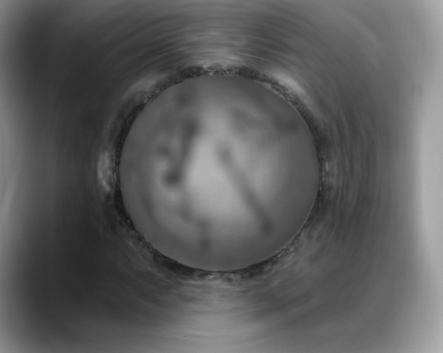 X0000088921063200706081355