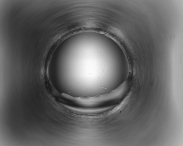 X0000088921065200706081355